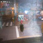 이 씨벌 <b>매미</b>새기