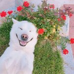 요즘 밖에 <b>쌀쌀</b>해??