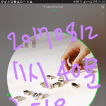 [세븐틴] 아니; 초딩들 다 자러갔냐