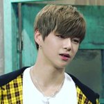 [강다니엘] 녤 <b>미침</b>