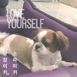 [방탄소년단] <b>LOVE</b> YOURSELF poster:미키