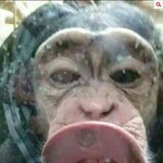 [EXO] 신발 조금만 더 찐하게 <b>딥키스</b> 가시죠!!