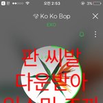 [EXO] 신발 티비로 <b>서양</b>수박 들어가서 다운받고온다