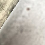 [EXO] 신발 수영장 <b>간다</b> 쇙리하는 몸을 이끌고