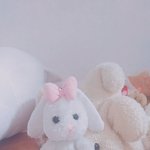 이 토끼인형 아는분