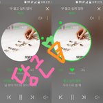 [세븐틴] 안녕 나 당근팀(구 믿듣셉) <b>총괄</b>인데