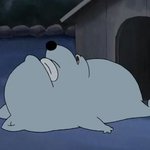 <b>니자식</b>이 학폭 가해자vs피해자