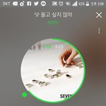 [세븐틴] 극ㅅㄷ 울고싶지않아 앨범에