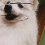 [댓글부탁해] 힐링되는 노래 좀 추천해줘!!