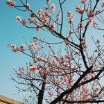 ㅅㅂ <b>언니친구</b>가 우리엄마한테 내 셀카보냄