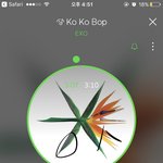 [EXO] <b>리</b><b>팩</b> 활동 제대로 하겠지