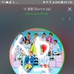 [워너원] 째니 <b>면사포</b> ㅋㅋㅋㅋ