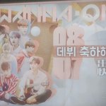 [세븐틴] 지나가던 사람인데요..