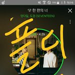 [세븐틴] 어떻게 플디는