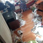 [개깊은빡침] 저 좀 살려주세요 미쳐가고 있어요 제발 보고 댓글...