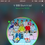 [워너원] ㅅㄷ 부산으로 휴가왔는데