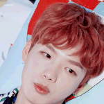 [워너원] 너넨 프듀 끝나고 좋아하게 된 연습생 있어?