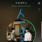 [세븐틴] 스밍인증