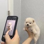[드루와] 아ㅅㅃ방학때 4<b>키</b>로 찜 실화냐?