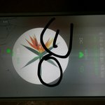 [EXO] 본인인증 <b>대신</b> 해줬는데