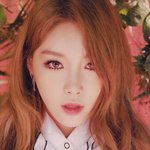 [댓글부탁해] <b>청하</b>네 소속사가 제일 똑똑했던거였어