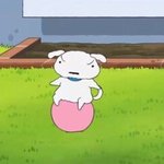 비투더<b>아투</b>더뱅뱅