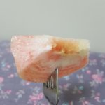 식욕<b>억제</b>짤 올린 쓰닌데