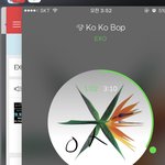 [EXO] 야 <b>확실</b>한 건 개온 마감까지는