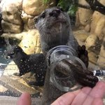 <b>다른</b>사이트에비해서 <b>판</b>장점이 뭐야?