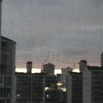 해<b>뚜기</b>시작함