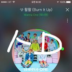 [워너원] 솔직히 우리 판에서 욕먹을때마다