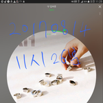 [세븐틴] 팬톡 <b>나이대</b>