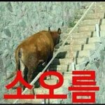 [EXO] <b>미방</b> 짤 이거 어때