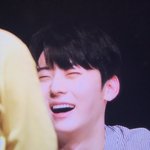 [황민현] ㅅㄷ 나 황민현때문에