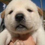 좋아하는 사랑고백 노래 뭐야??