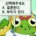 [드루와] 근데 더스쿱이랑 아리<b>키친</b>이랑 너무 편집방식 비슷하지 않음...