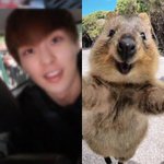 [EXO] 민석이 ㅈㅋ 귀여워서 쇼텀 <b>생각</b><b>남</b>