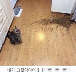 [10대의성] 몸이나 팔라는말 들었는데