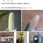 아오 페북따봉충들 ㅅㅂ