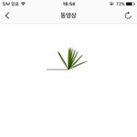 [EXO] <b>번역</b> 봐ㅋㅋㅋ