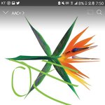 [EXO] 나는 댁우 관람댓다