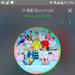 [워너원] k콘일정...