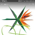 [EXO] 너네 최애노래