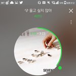[세븐틴] 애들이 <b>스트레스</b> 받지 말래...ㅠㅠㅠㅠㅠㅠㅠ