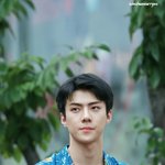 [세훈] 170813 <b>신촌</b> 팬사인회 고화질10