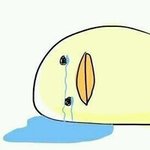 짹 같은 데에서 아이돌 인형 총대나 도아너 해 본 사람 있음? 질문...