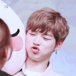 [강다니엘] 요즘 귀염미 터진 강다니엘