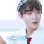 [워너원] 안녕 타팬인데 박지훈 너무 귀여워 뒤질것같애