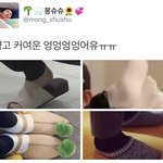 [시우민] (짹펌)시우민 발사진 모음