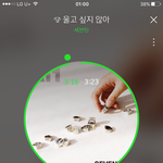 [세븐틴] ㅅㄷ갑자기 입덕 때가 생각나서